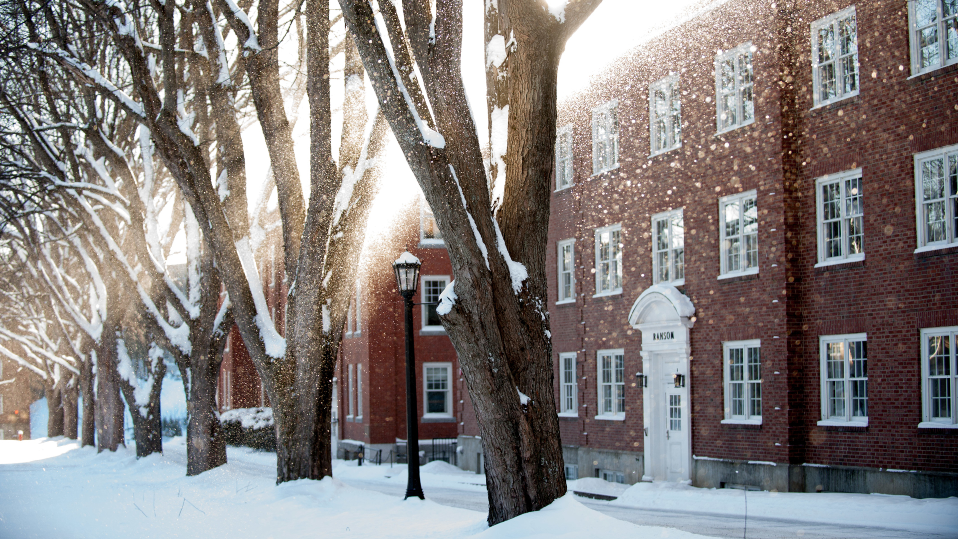 Holiday Winter Campus