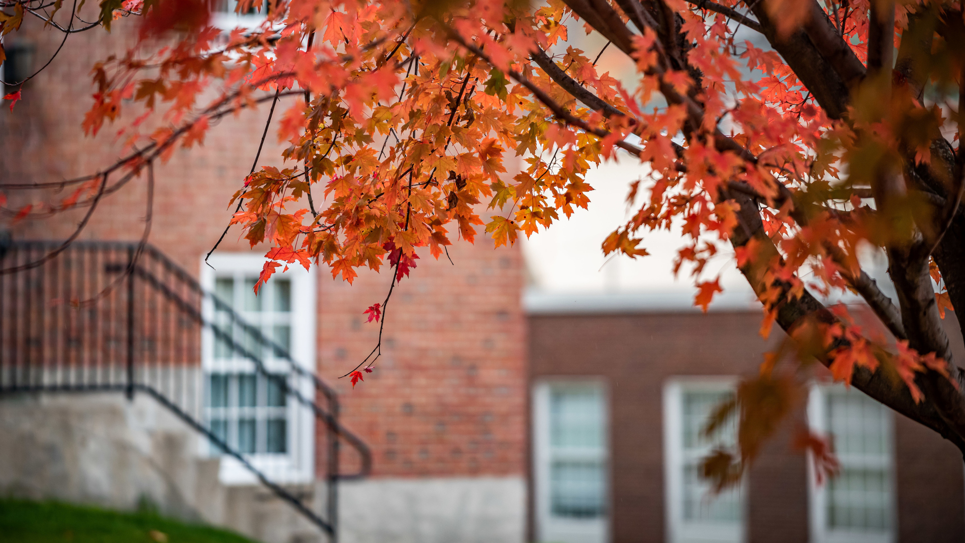 Campus Scenic Fall 2019